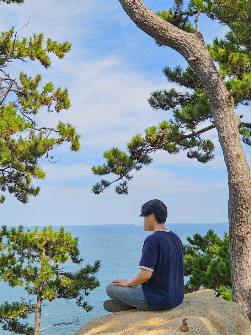 울산 대왕암공원 꽃무릇, 출렁다리, C코스 소요시간