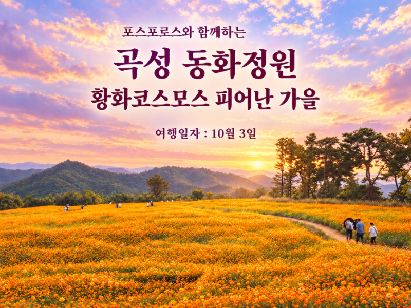 전남 곡성 가볼만한곳, 동화정원 황화코스모스 꽃길 산책 | 10월 음악회 안내