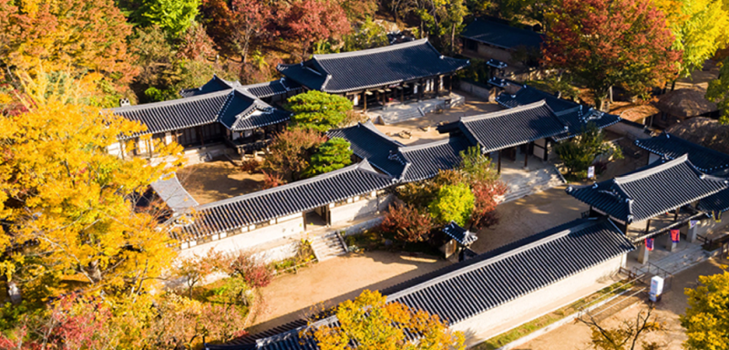 용인 한국민속촌 입장료 할인 주차 총정리