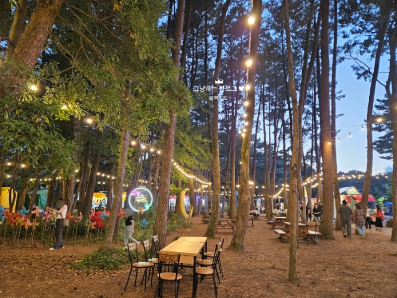 제주 시내(연동) 갈만한 곳 - 수목원길 야시장(추천을...)