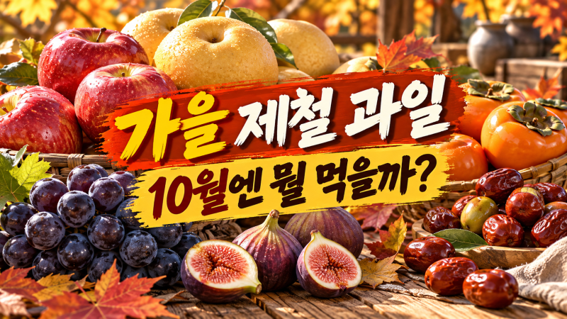 가을 제철 과일, 9월·10월·11월에 맛있는 과일은 따로 있습니다