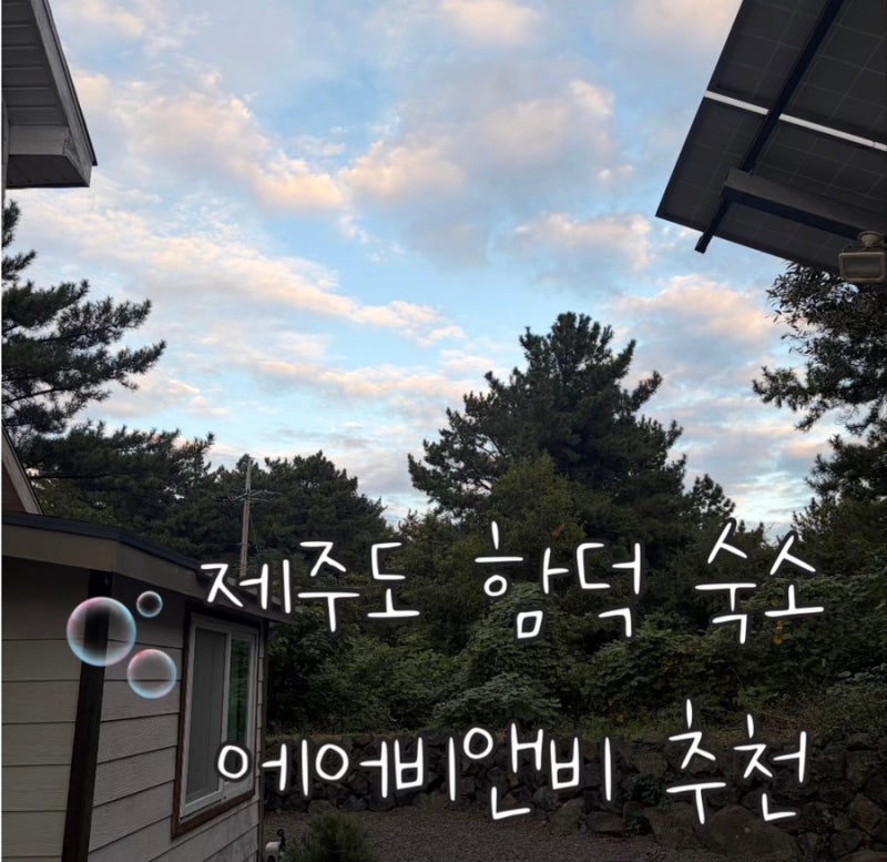 제주 함덕 조천 독채숙소 추천 후기 가성비 에어비앤비