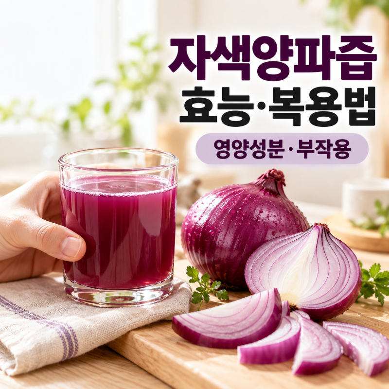 자색 양파즙 효능 영양성분 복용법까지 총정리
