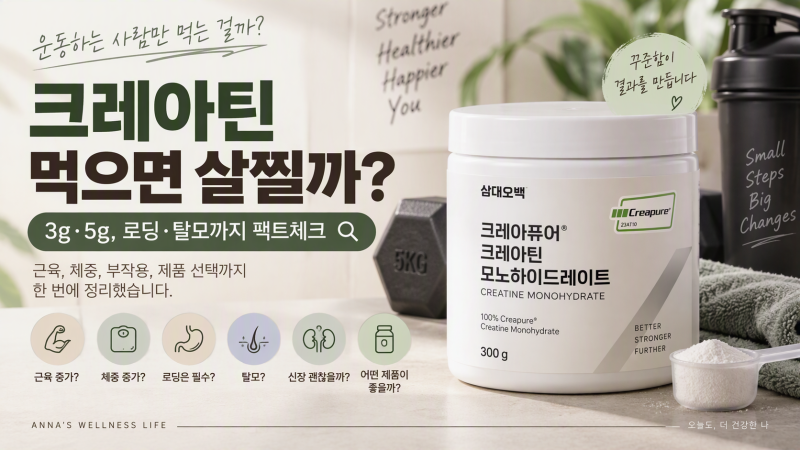 크레아틴 먹으면 살찔까? 3g·5g, 로딩·탈모·신장까지 팩트체크