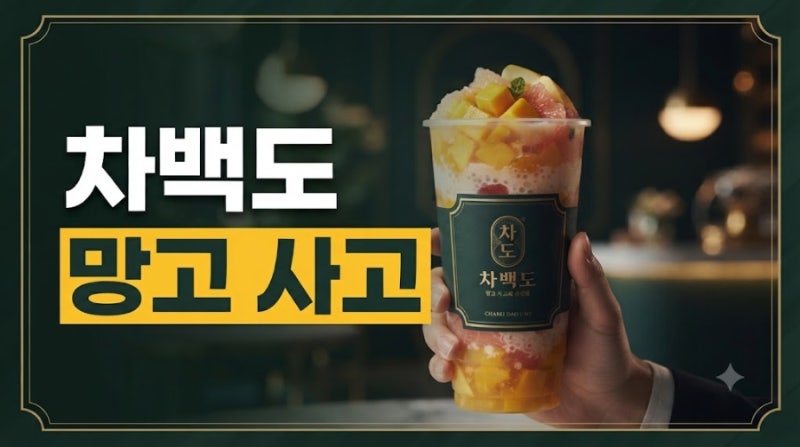 차백도 메뉴 추천 완벽 가이드 베스트 메뉴부터 장원영 픽까지 총정리