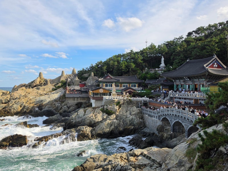 Busan Haedong Yonggungsa Temple: An Ocean View Temple Where One Wish Comes True (Weekend Parking)