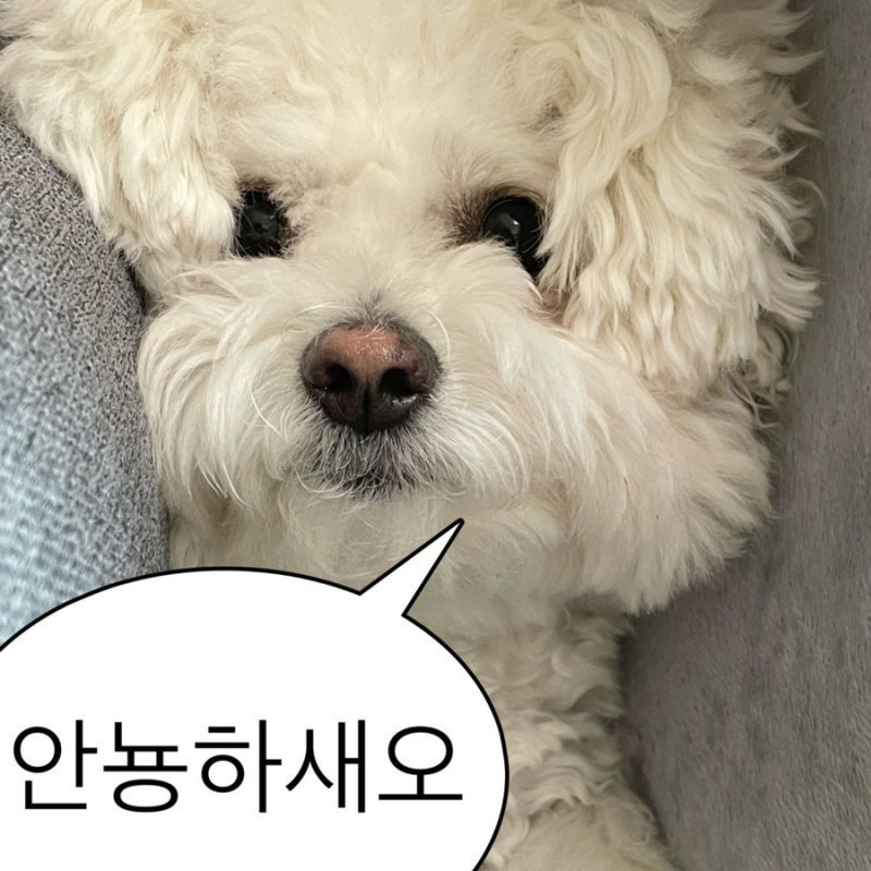 전산세무1급,전산세무2급 (128회) 시험 하루에 다 보고 온 후기,,,,1타2피✊ + 가채점까지 .ᐟ
