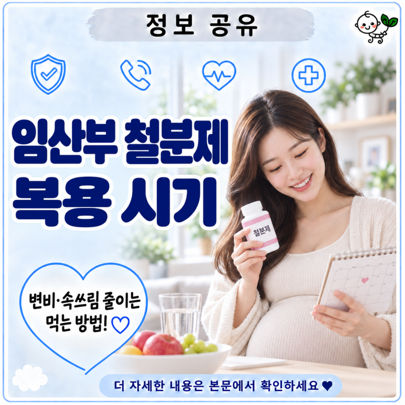 임산부 철분제 복용 시기 | 변비·속쓰림 줄이는 먹는 방법 총정리