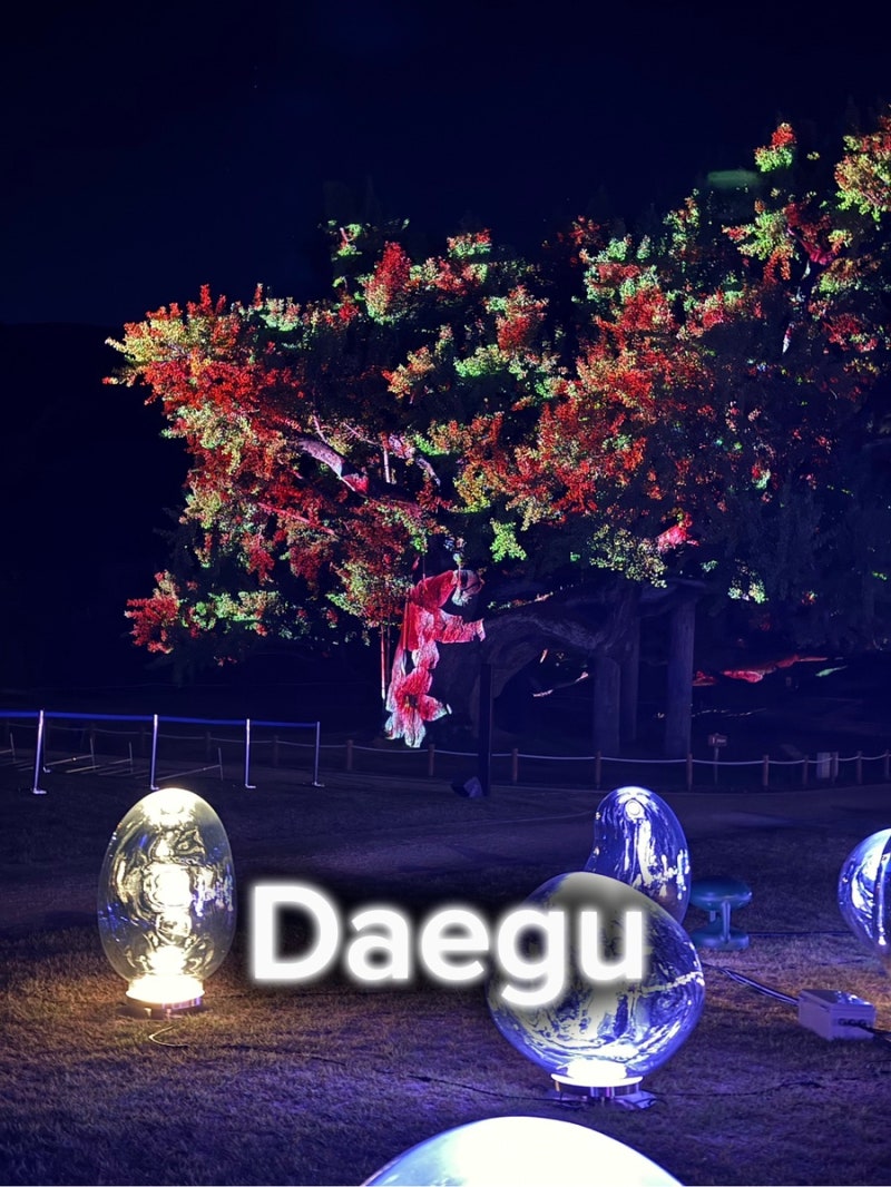 대구 근교 이색데이트 도동서원 은행나무 미디어아트 야경 도동연화 일정 및 관람 찐후기