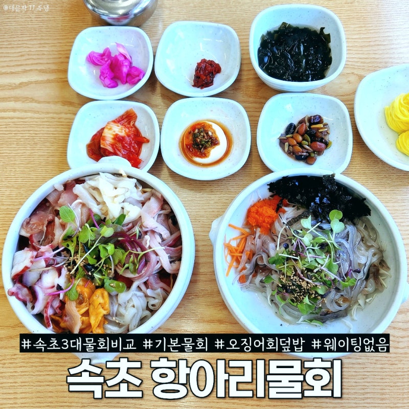 속초 3대 물회 비교해보고 찾아간 항아리물회 오징어회덮밥 후기
