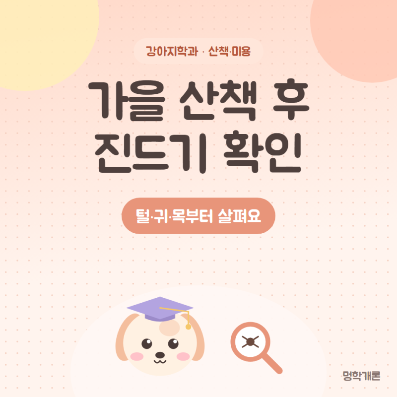 강아지 산책 후 진드기 확인법 가을 SFTS 주의