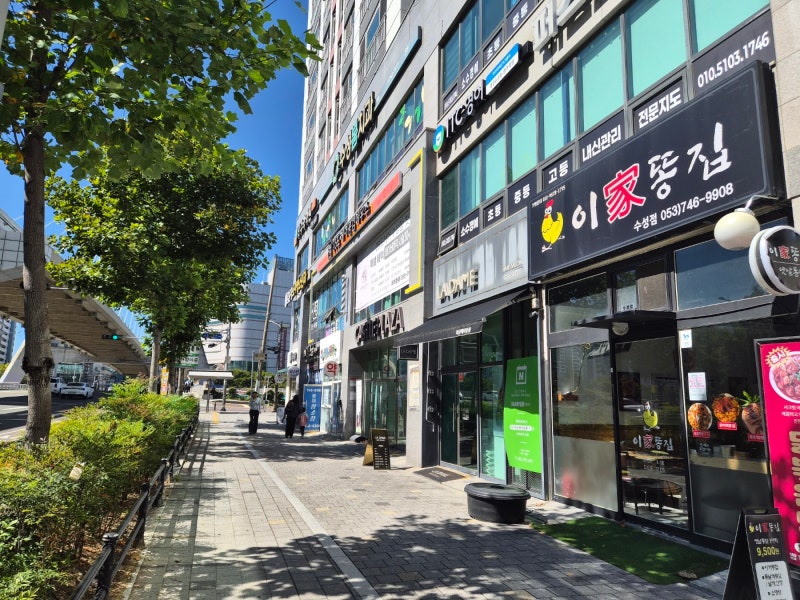대구 수성구 한식 맛집 카페동이 수성1가점 든든한 가정식 한상 제대로 먹은 후기 & 주변 즐....