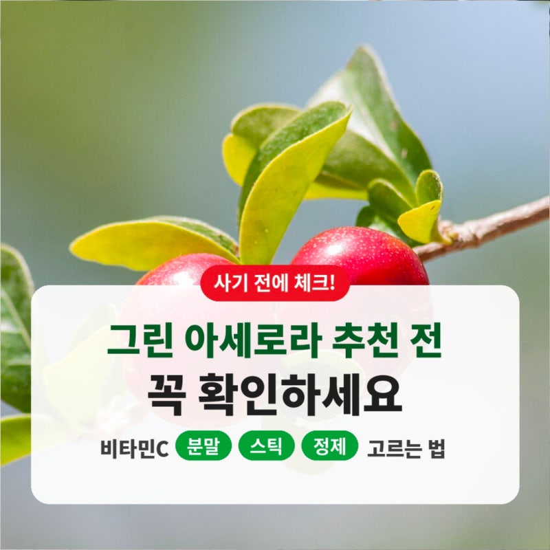 그린 아세로라 추천 전 꼭 확인하세요｜비타민C 분말·정제·스틱 고르는 법