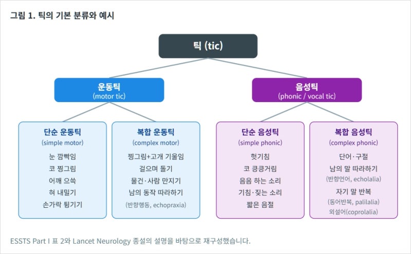 틱장애·투렛증후군(Tourette syndrome) 정리: 진단부터 행동치료, 약물치료, 예후 예측까지 (의료....