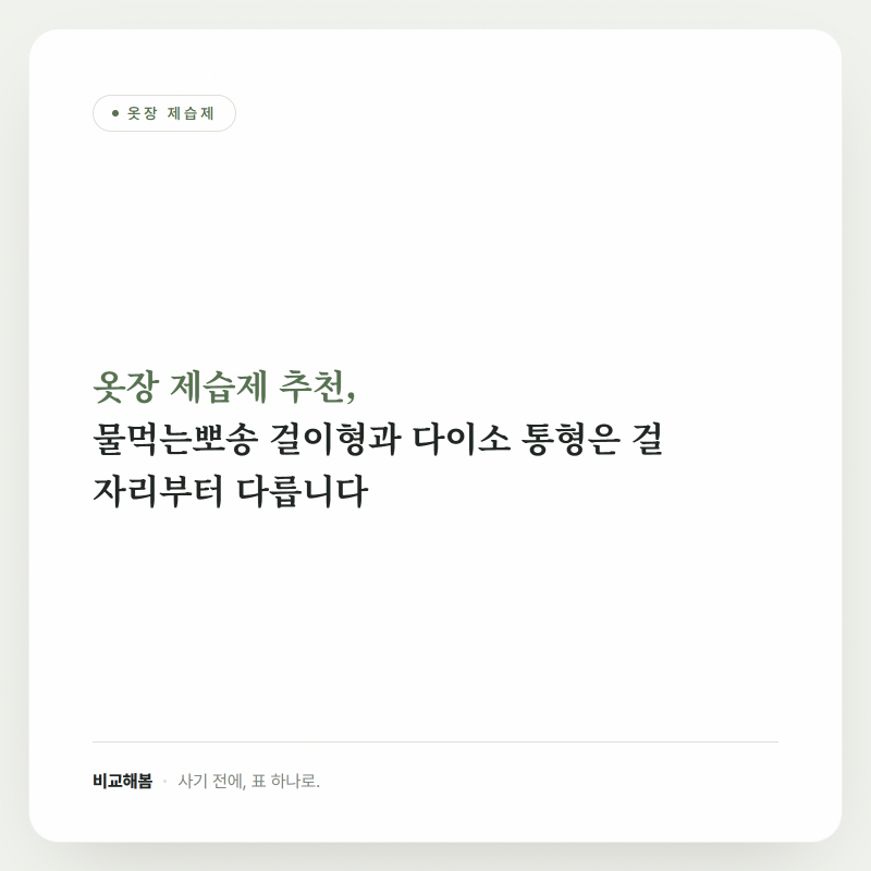 옷장 제습제 추천, 물먹는뽀송 걸이형과 다이소 통형은 걸 자리부터 다릅니다