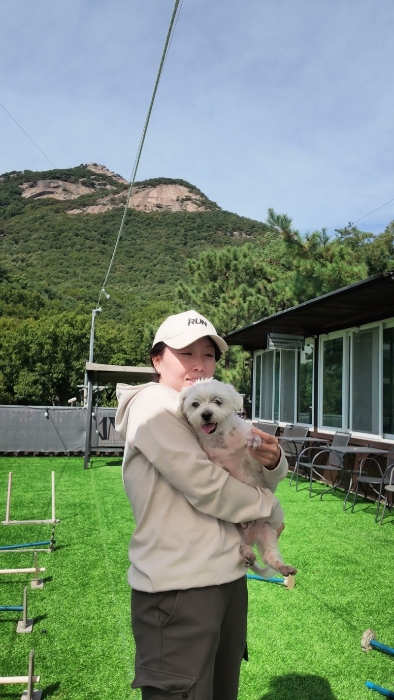 니멍내멍 남양주 애견 카페, 짱구랑 하루 종일 신나게 놀다 왔어요