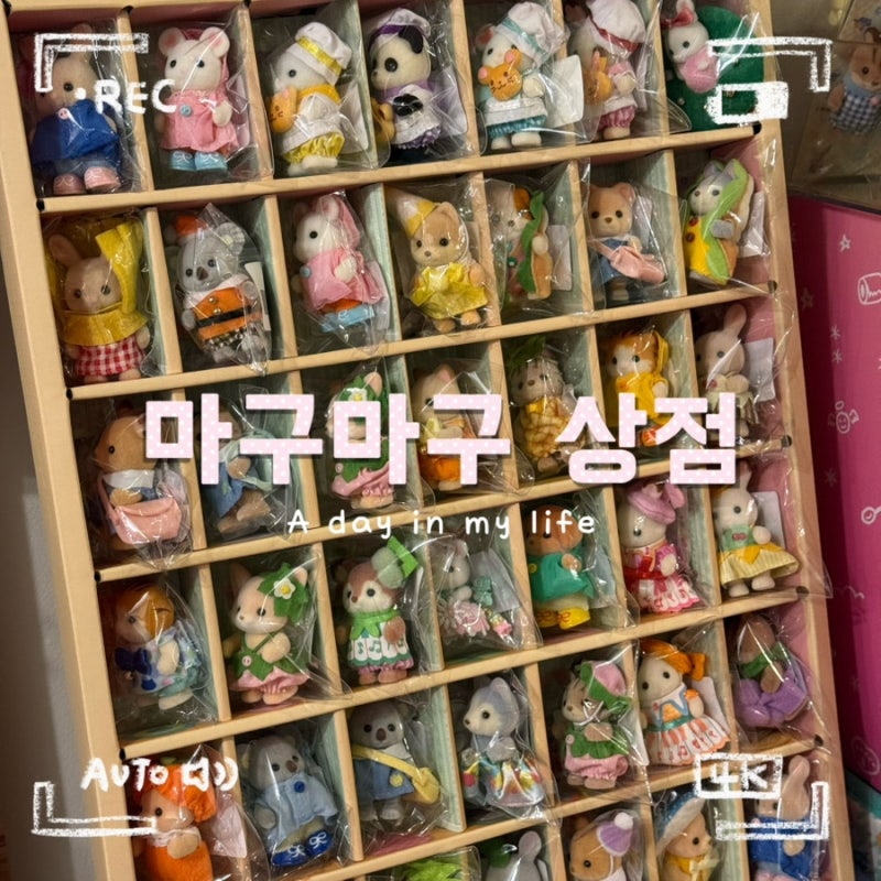 홍대 연남동 소품샵 마구마구상점 | 헬로키티, 몬치치부터 실바니안 시리즈까지!(인형 키링 ....
