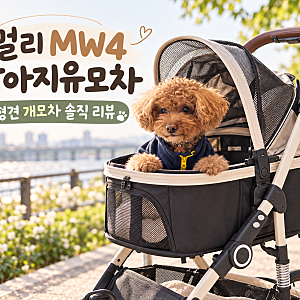 [멀리 MW4 강아지유모차] 소형견 개모차 고를 때 본 장점과 실제 사용 포인트