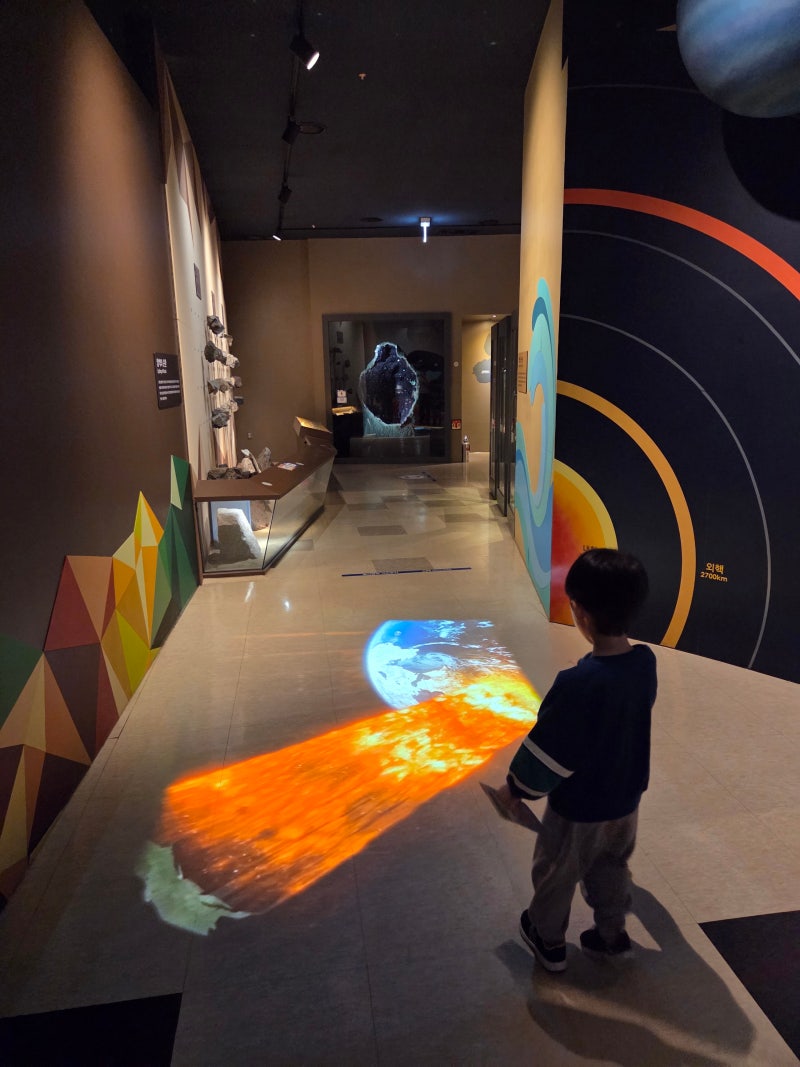 Ganghwado Natural History Museum: An Indoor Outing for Kids Who Love Animals