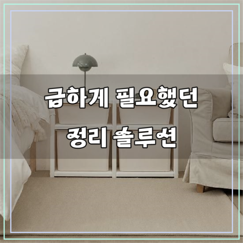 아이팜 모듈 정리함 2단 더블 유아정리함