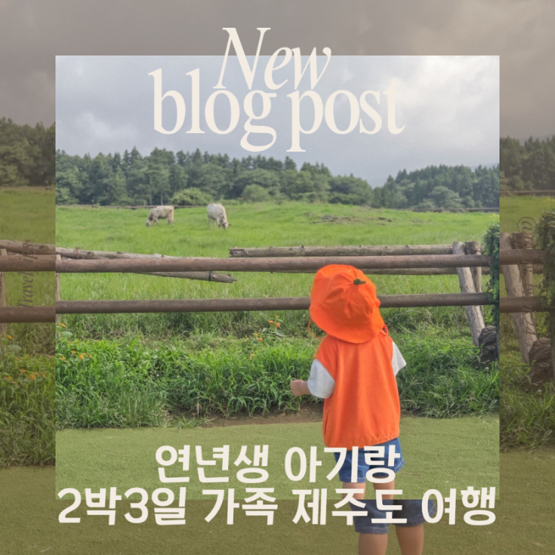 연년생 아기랑 제주여행 :: 2박3일 동쪽코스