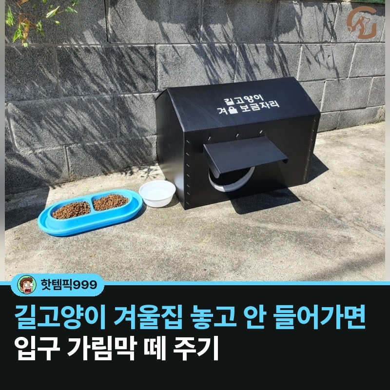 길고양이 겨울집 놓고 안 들어가면 입구 가림막 떼 주기 — 그램도그 방수 하우스