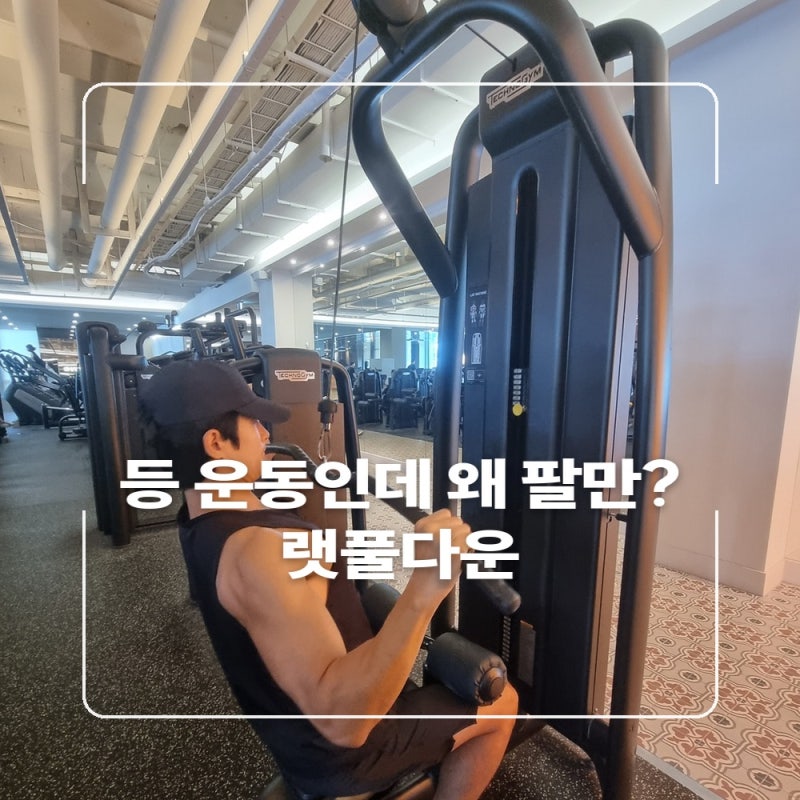 랫풀다운 등 자극 안 오는 이유｜팔만 아프다면 이것부터 확인하세요