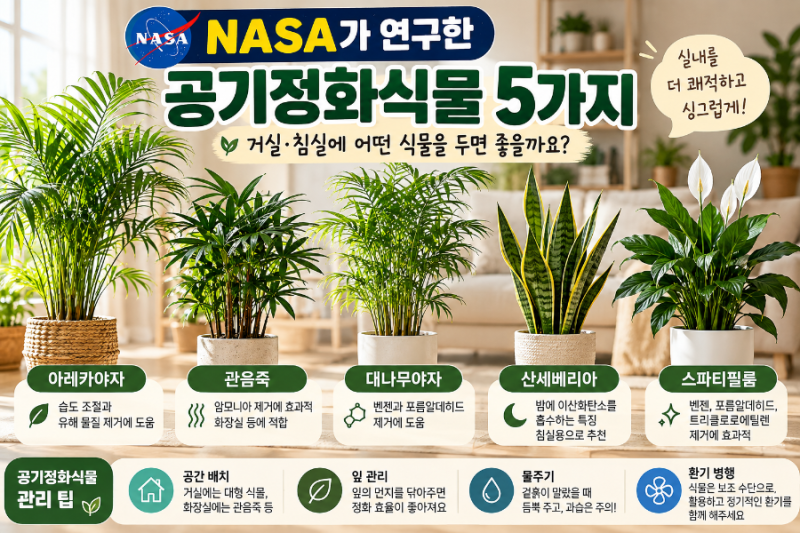 NASA가 연구한 공기정화식물 5가지 거실·침실에 어떤 식물을 두면 좋을까요?