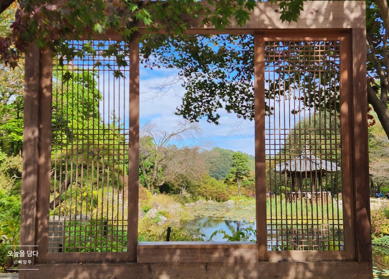 [Gapyeong] Morning Calm Arboretum Review | Recommended Autumn Outing and Drive Near Seoul