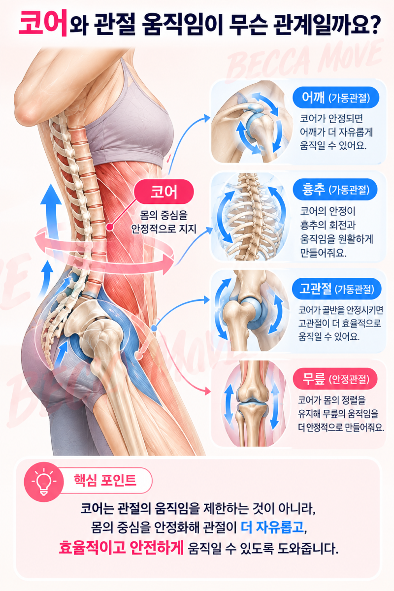 코어운동은 왜 해야 할까?｜몸통 안정성과 관절 움직임 쉽게 이해하기