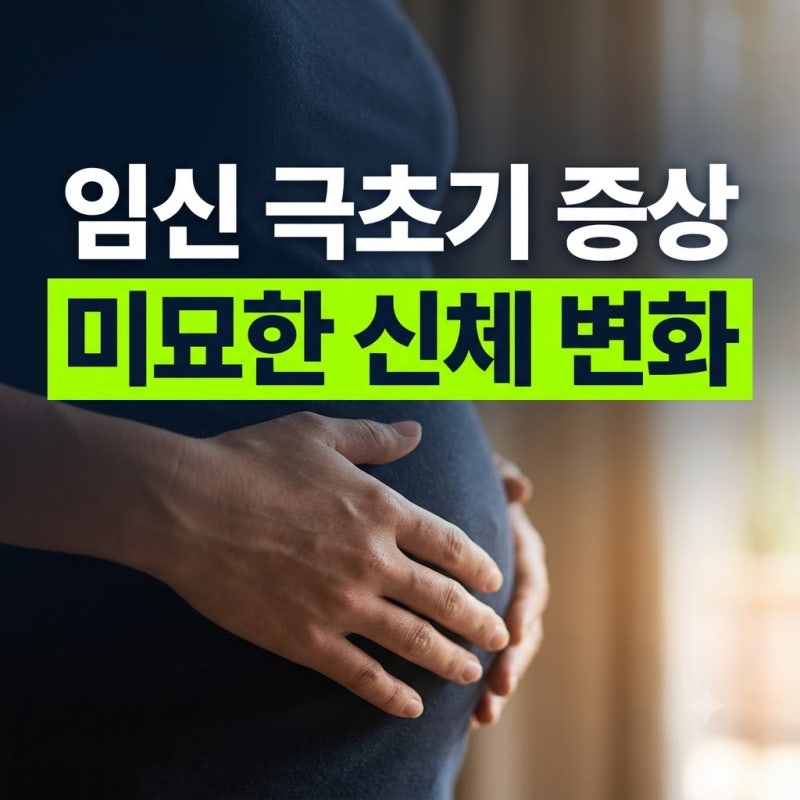 임신 극초기 증상 총정리: 1주차·2주차·3주차 시기별 분비물, 복통, 가슴 통증 및 대처법