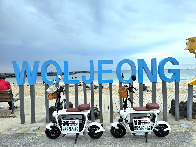제주도 전기스쿠터 쓩쓩렌탈샵 월정리점, 월정리 해안도로 라이딩하다 돌고래 본 꿀팁 솔직....