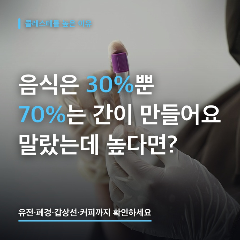 콜레스테롤 높은 이유, LDL 160인데 기름진 음식 끊어도 안 떨어진다면? 70%는 간이 만들어요! (....