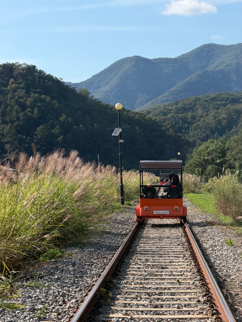 Chuncheon Must-Visit: Kim Yu-jeong Rail Bike 4-Seater Ride Review