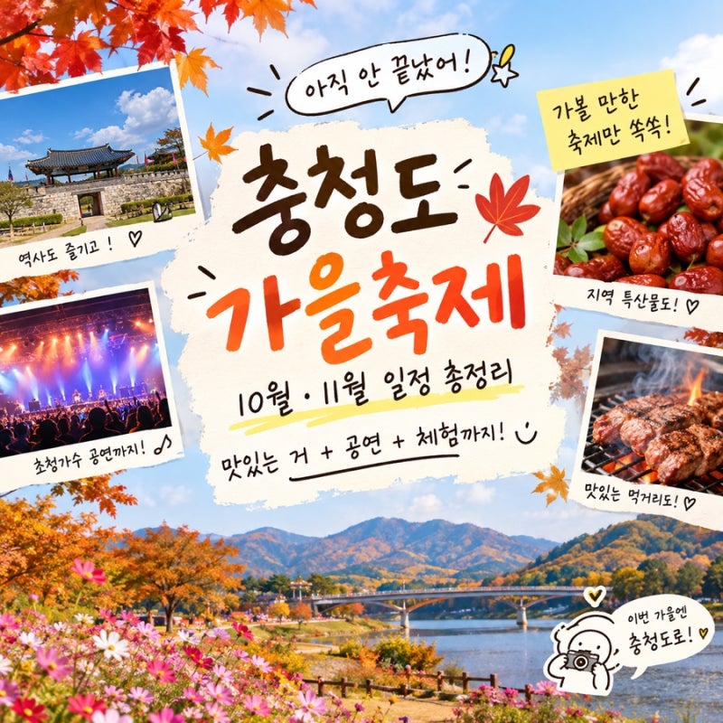 2026 충청도 가을축제 일정 총정리｜10월·11월 가볼 만한 충남 충북 축제