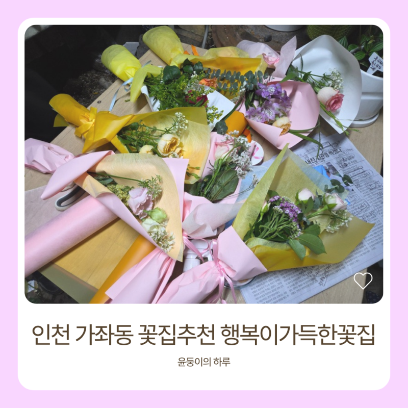 인천 가좌동 꽃집 추천｜5천원 한송이 꽃다발부터 예쁜 화분까지, 행복이 가득한 꽃집