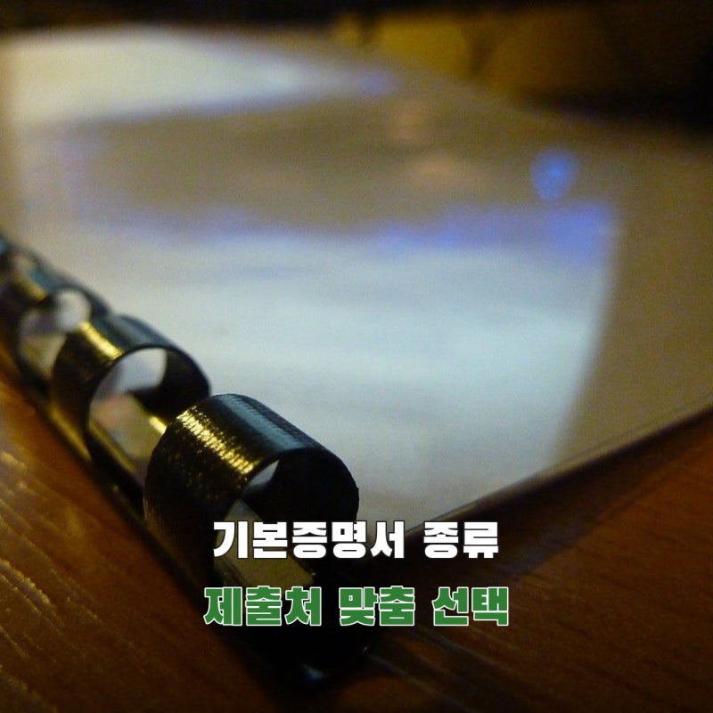 기본증명서 일반·상세·특정, 제출처가 원하는 종류는 어떻게 고를까?