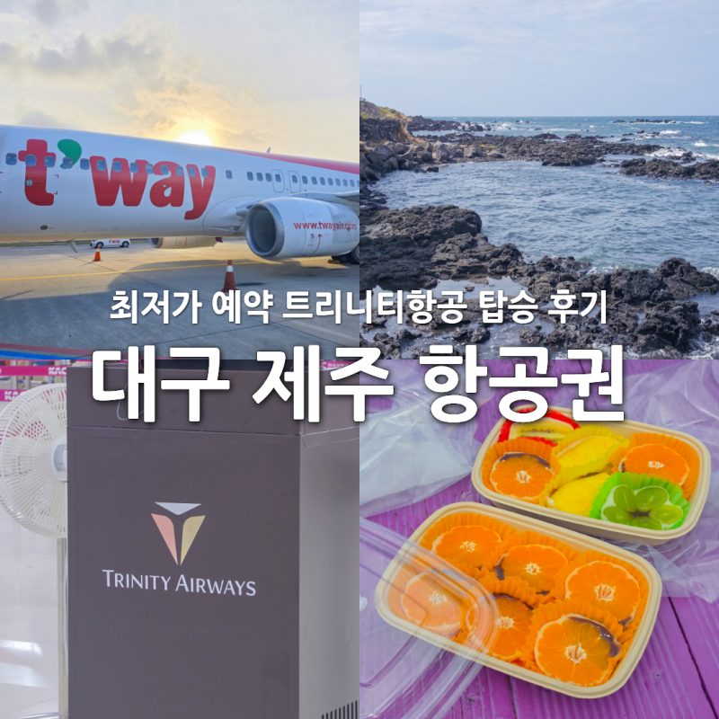 대구 제주 항공권 최저가 예약 스카이스캐너 꿀팁 트리니티항공 티웨이 탑승 후기 제주도 비....