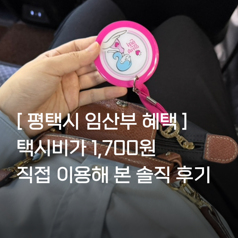 평택시 임산부 택시 바우처 혜택, 교통약자 이동지원 신청 이용 방법 + 꿀팁 총정리!