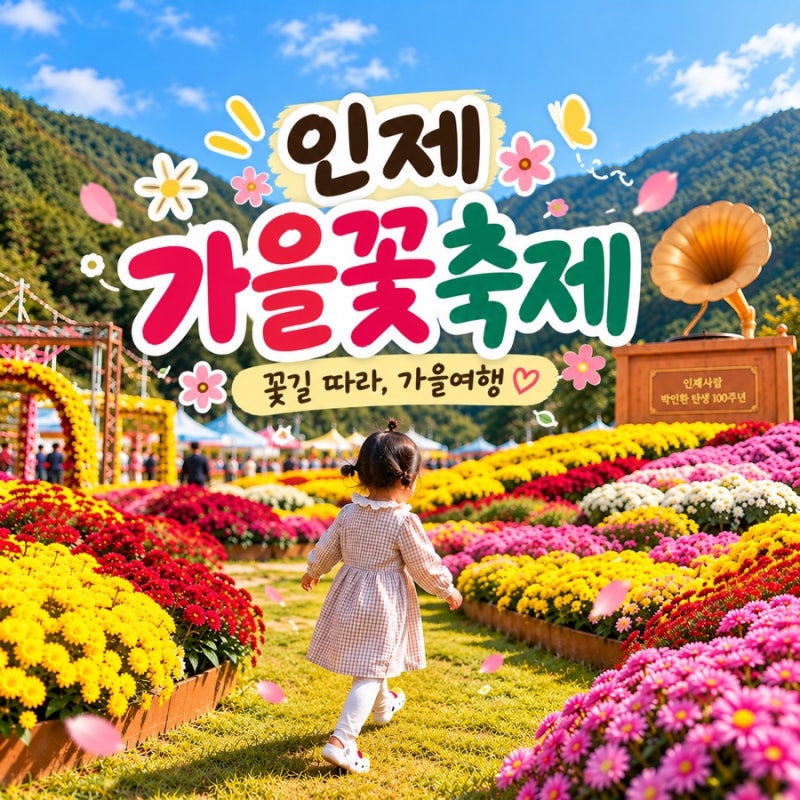 인제 가을꽃축제 아이와 가볼만한곳 꽃길 따라 강원도 가을여행
