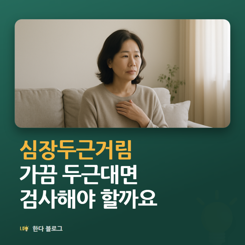 심장두근거림, 검사가 필요할까요 (병원 가야 할 신호·24시간 심전도 · 2026년)