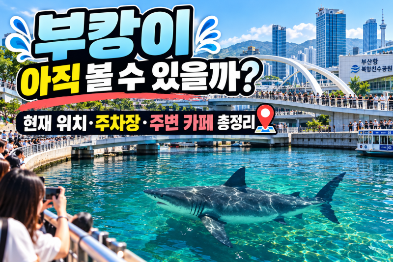 부캉이 아직 볼 수 있을까? 부산 북항 현재 위치·주차장·주변 카페 총정리!