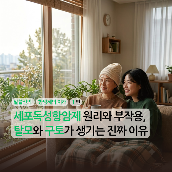 [알쓸신의][항암제의 이해][1편] 세포독성항암제 원리와 부작용, 탈모와 구토가 생기는 진짜 ....