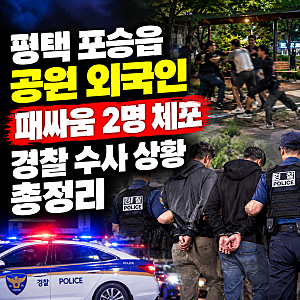 평택 포승읍 공원 외국인 패싸움 2명 체포, 경찰 수사 상황 총정리