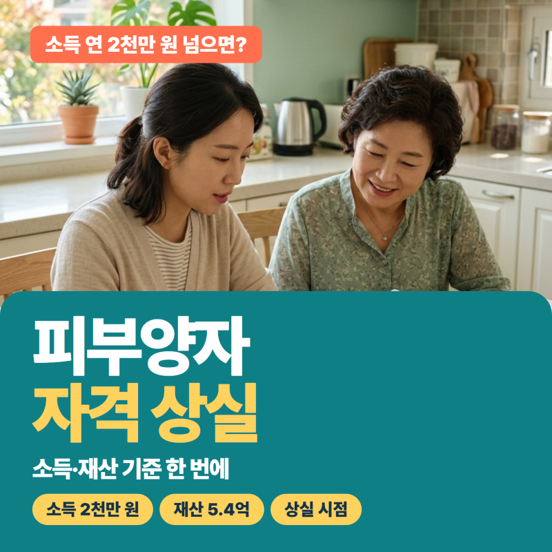 건강보험 피부양자 자격 상실 기준, 소득이 연 2천만 원 넘으면? 재산 기준도 함께 봐요