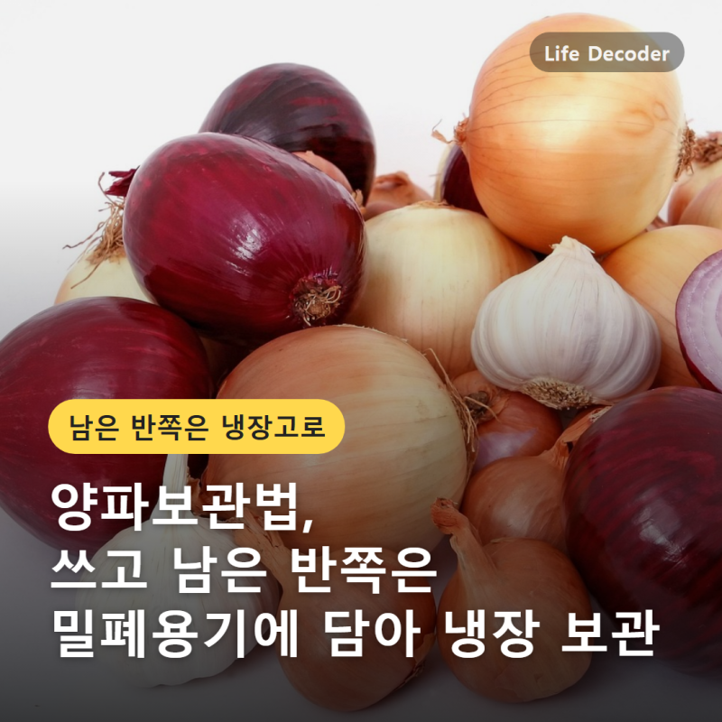 양파보관법, 쓰고 남은 반쪽은 밀폐용기에 담아 냉장 보관