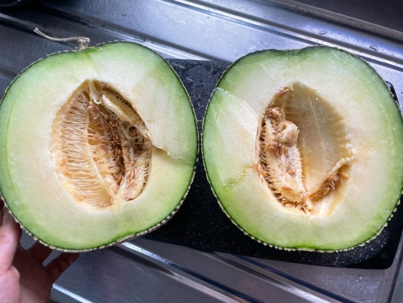 메론 고르는 법? 맛있는 멜론고르기 부터 후숙확인법, 보관법, 효능까지 내돈내산 메론정복....