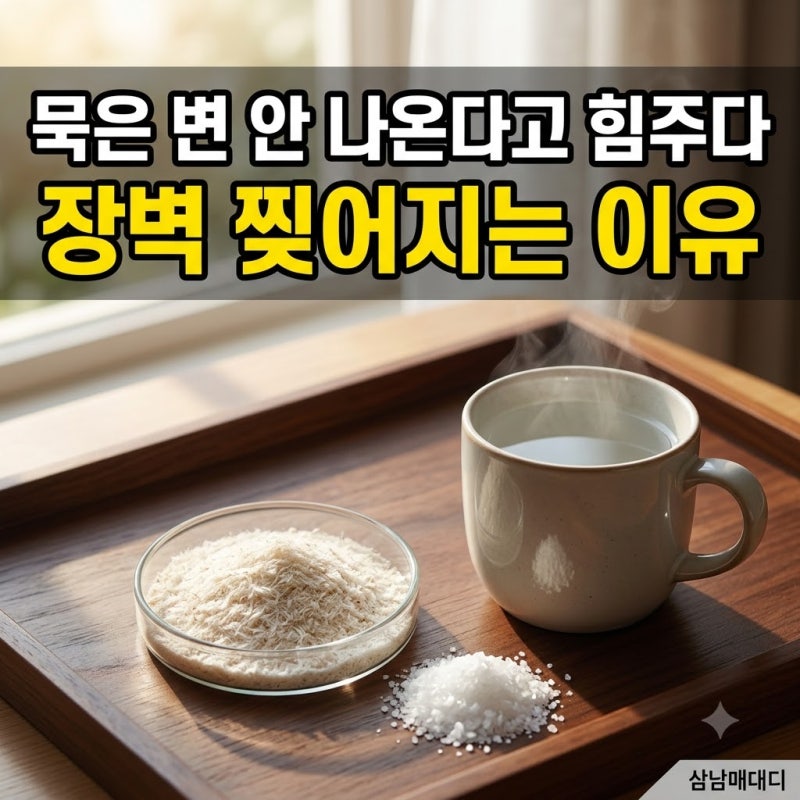 만성 변비 증상 묵은 변 안 나온다고 힘주다 장벽 찢어지는 이유