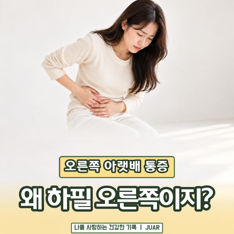 배가 콕콕 아픈데 하필 오른쪽… 오른쪽 아랫배 통증 그냥 기다려도 될까?