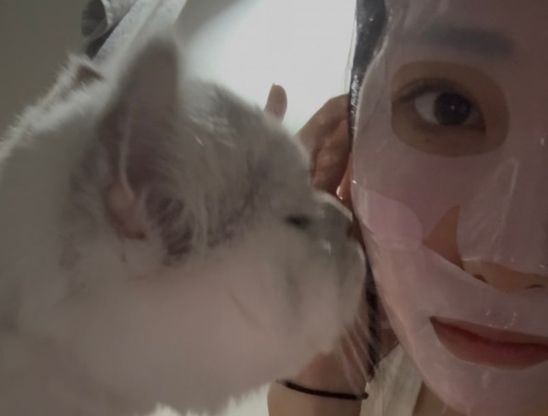 [피부] 편평사마귀 제거 후기｜무제한으로 제거하고 후회한 이유, 재생밴드부터 색소침착까....